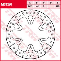 TRW Remschijf, voor de moto, MST290