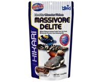 MASSIVORE DEL 380 GRAM - Hikari MASSIVORE DEL 380 GRAM - Hikari