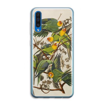 Carolinaparkiet: Samsung Galaxy A50 Transparant Hoesje