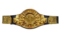 Champions belt Champions belt