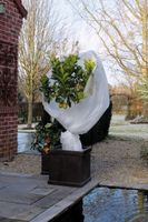 Winterafdekvlies wit 2x5 meter Nature - Nature