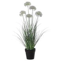 Louis Maes kunstplant - Siergras Allium - paars/groen - H75 cm - in pot Louis Maes kunstplant - Siergras Allium - paars/groen - H75 cm - in pot