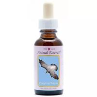 Animal Essences Peregrine falcon (slechtvalk) 30 Milliliter