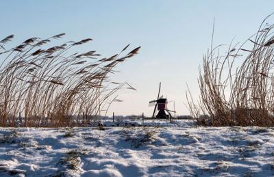 Tuinschilderij molen sneeuw 130x70 - Customize it