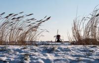 Tuinschilderij molen sneeuw 130x70 - Customize it