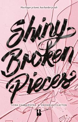 Shiny Broken Pieces (Paperback)