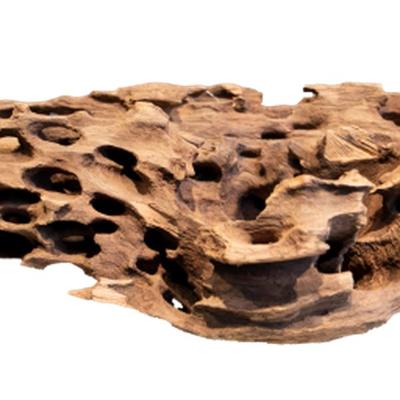 Honeycomb wood x large - Aquadistri
