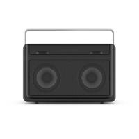 Perfectpro AB1 Audisse Accu Bouwradio WiFi Bluetooth DAB+