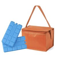 Strand sixpack mini koeltasje oranje inclusief 2 koelelementen - Koeltas - thumbnail