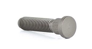 Wielbout BSG30230015