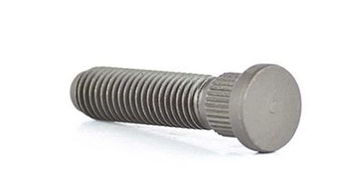 Wielbout BSG30230015
