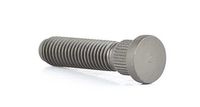 Wielbout BSG30230015