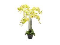 Orchidee kunstplant 6-tak 88 cm, groen - Buitengewoon de boet