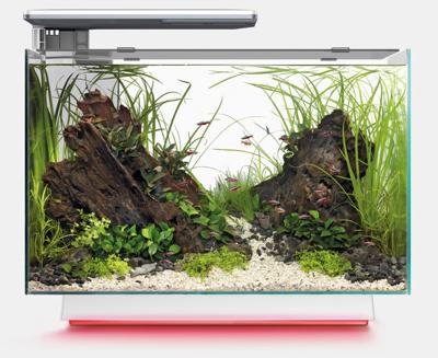 Superfish Quadro 70 Pro Multi Colour wit