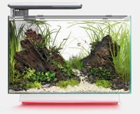 Superfish Quadro 70 Pro Multi Colour wit Superfish Quadro 70 Pro Multi Colour wit