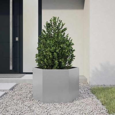 Plantenbak zeshoek 69x60x45 cm gegalvaniseerd staal