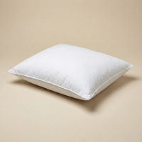 Hoofdkussen Seersucker - Voor Rug- En Zijslapers - 100% Microvezel Dons - Dekbed-Discounter.nl