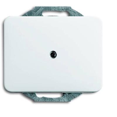ABB 1742-24G Blindafdekking Afdekking Wit, Verkeerswit 1 stuk(s)
