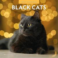 Zwarte Katten Kalender 2027