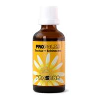 Prosana Propolis tinctuur + echin vh Garganta 43 keel plus Prosana Propolis tinctuur + echin vh Garganta 43 keel plus