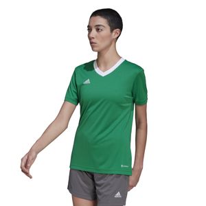 adidas Entrada 22 Voetbalshirt Dames Groen Wit