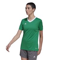 adidas Entrada 22 Voetbalshirt Dames Groen Wit