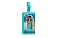 Moroccanoil Pakket Stocking Stuffer Treatment Regular 1st