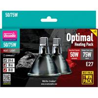 Arcadia optimal heating pack 75w halogen 50w deep heat - Aquadistri
