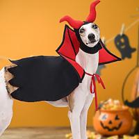 Honden Katten Halloween outfits kostuums Heks verderfelijk Eng kostuum Zacht Halloween Carnaval Feest Hond puppy kleding outfits Lightinthebox - thumbnail