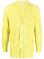 Agnona cardigan nervuré à col v - Jaune