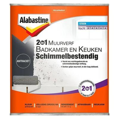 Alabastine 2In1 Muurverf B&K Antraciet 1L - 5256778