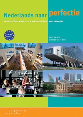 Nederlands naar perfectie (Paperback)
