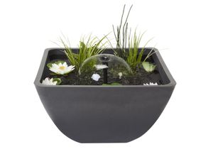 Mini Pond Square 55 x 55 cm - Velda
