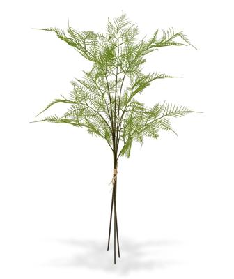3x Asparagus kunsttak 85 cm - bundel