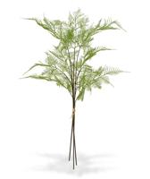 3x Asparagus kunsttak 85 cm - bundel