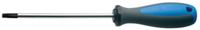 GRS UNIOR SCHROEVENDRAAIER TORX T10 INL