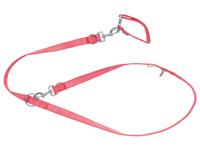 zoofari Hondenhalsband en riem (S, Rood)