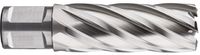 Rotec HSS Kernboor SILVER-LINE, weldon 19, ø58x55 - 536.5801W