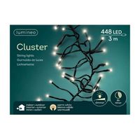 Lumineo Cluster Binnen/Buiten warm wit 3meter 448Lampjes