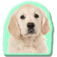 Kleur Voorzijde: - Pillow Buddies