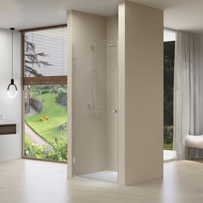 Nisdeur Van Rijn Draaideur 8 mm Met Vaste Wand 97x200 cm Chroom incl Zwart Muurprofiel van Rijn