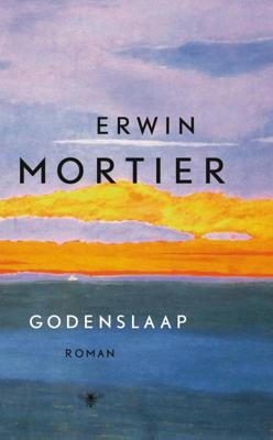 Godenslaap (Paperback)