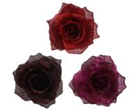 Roos polyester b12h7 cm a3 Everlands - Everlands Roos polyester b12h7 cm a3 Everlands - Everlands