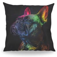 Kussen - Huisdier Portret - Franse Bulldog 1 Color - Pillow Buddies Kussen - Huisdier Portret - Franse Bulldog 1 Color - Pillow Buddies