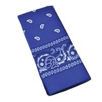 Boeren of cowboy zakdoek bandana - blauw - geruit - 54 x 53 cm - Carnaval verkleed accessiores