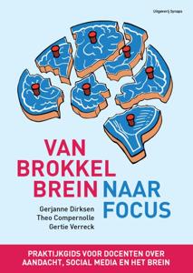 Van brokkelbrein naar focus (Paperback)