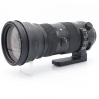 Sigma 150-600mm F/5-6.3 DG OS HSM Sports Canon occasion