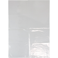 Zak | Vlakke zak | LDPE | 32x50cm | 38my | transparant | 1000 stuks