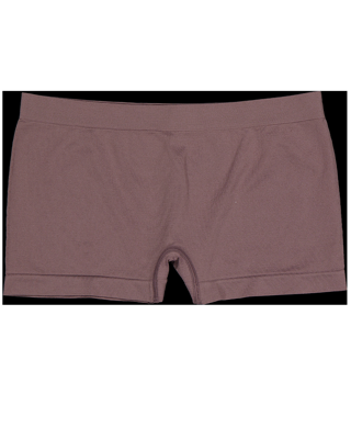 Boxer - Bruin