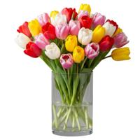 Vaas - transparant - 15 x 12 cm - glas - cilinder vorm - vazen - bloemenvaas